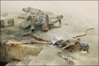 Qui est responsable de la mort de l'oncle et de la tante de Luke ?