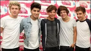 Les fans des One Direction sont...