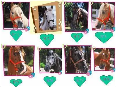 Comment s'appelle l'ancien cheval de Lisa ?