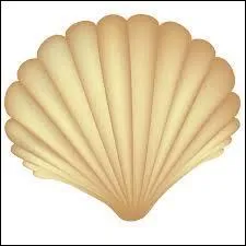 J'ai trouvé un coquillage à la ______.