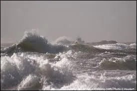 La ______ s'agite beaucoup aujourd'hui.