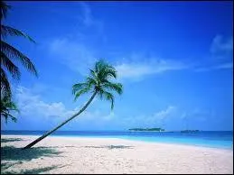 Pendant ces vacances, nous allons aller à la ______.