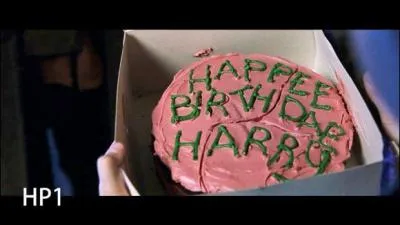 Qui a préparé ce gâteau pour Harry ?