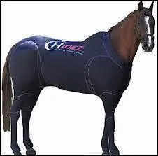 A quoi sert une couverture ?