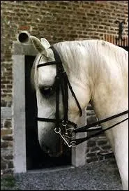 Que doit-on faire avant de nettoyer un filet ?