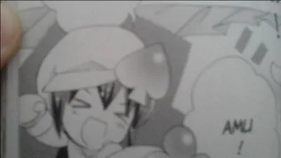 À qui appartient ce Shugo Chara ?