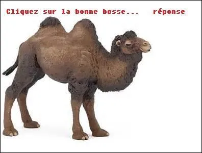 Quelle structure met en évidence un parallélisme dans une phrase ?