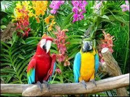 Quelle est la capitale du Guyana ?