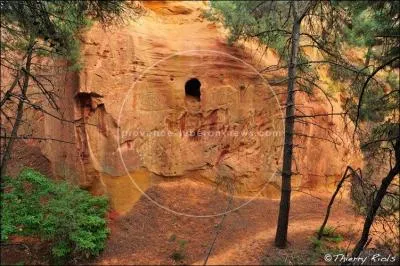 Couleur jaune ou rouge mêlée de brun :