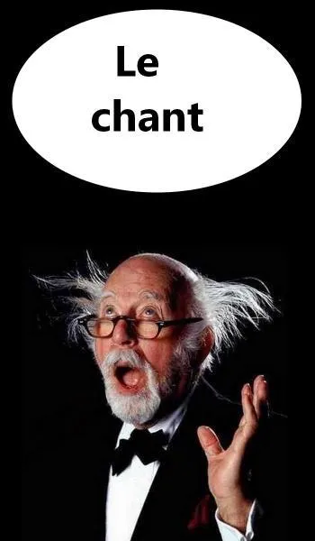 Dans quel art s'est illustré Rudolf Noureïev ?