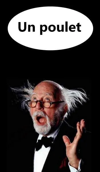 Qui est "Pouic Pouic" dans le film joué par Louis de Funès en 1963 ?