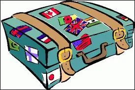 J'emporte ma ______ pour aller à Berlin.