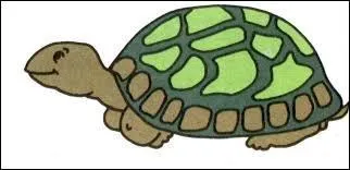Ma tortue est un ______.