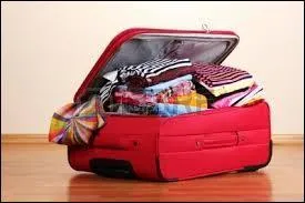 Depuis 2 ans, j'ai cette ________ rouge.