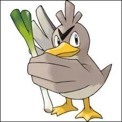 Quel est ce Pokémon ?