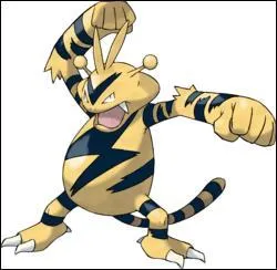 Quel est ce Pokémon ?