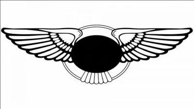 Quelle est la marque de ce logo ?