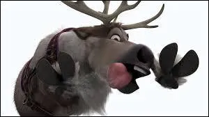 Quel est le nom de l'élan ?