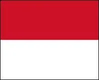 Quel est ce drapeau ? (2 réponses)