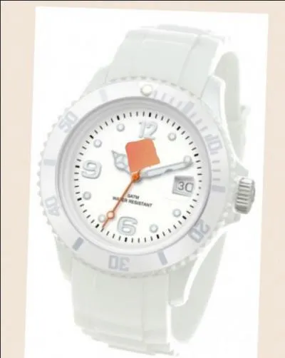 Quelle est la marque de cette montre ?