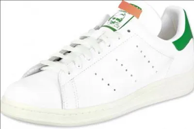 Quel est le nom de ces chaussures à la mode en ce moment ?