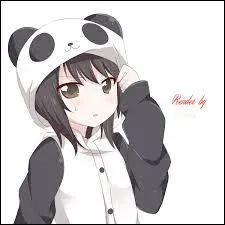 Quel type d'animal est le panda ?