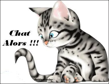 Que ressent le chat lorsqu' il bouge le bout de la queue ?