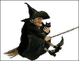 À quelle époque les chats étaient-ils considérés comme des sorciers ?