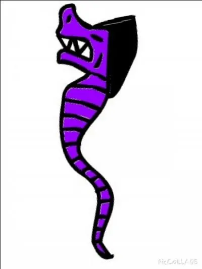 Sur la photo, le serpent est-il un rare ? Si oui, comment s'appelle-t-il ?   