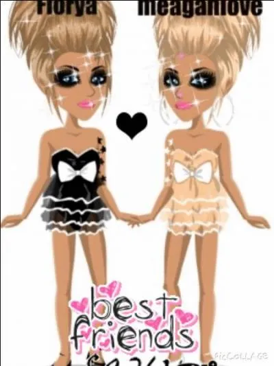 Est-il possible de se prendre en photo sur MSP ?