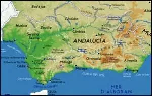 Il y a bien longtemps, lors de longues et belles virées dépaysantes en Andalousie, j'ai eu l'occasion de partager un petit déjeuner local, du côté des oliveraies. 
Que m'a-t-on présenté en toute simplicité ?