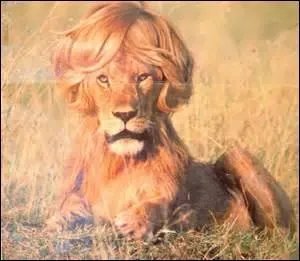 Ce slogan a été créé par une marque de produits de beauté qui compte de nombreuses ambassadrices dont une des plus célèbres fut Claudia Schiffer. De quelle formule publicitaire s'agit-il ?