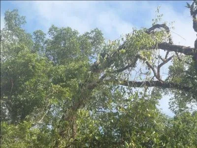 Ton autoritaire et sûr de lui !