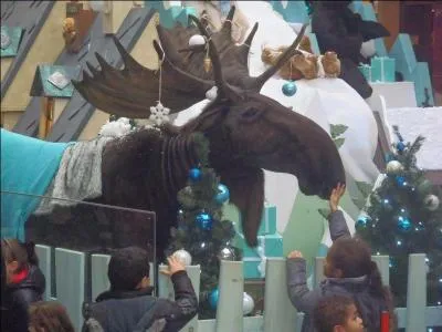 Si vous n'avez pas trouvé la réponse précédente, vous êtes en ...