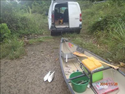 Ce qui signifie également que vous êtes ...