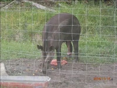 Elément déclencheur d'un tir d'arme à feu, ou de vos neurones !