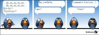 Si la parole est d'argent, qu'est-ce qui est d'or ?