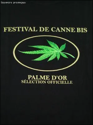 Dans quelle ville décerne-t-on la palme d'or à un film ?