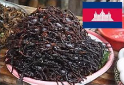 Petit déjeuner suivant : des araignées grillées. Où pouvez-vous en acheter afin de faire le plein de protéines ?