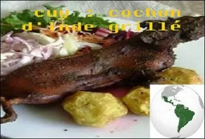 Où exercez-vous votre curiosité, et entraînez-vous votre palais ?