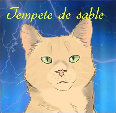 Quel poste occupe Tempête de Sable quand elle rencontre Étoile de Feu ?