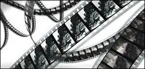 En 1974, le film d'épouvante "Les Dents de la mer" sort au cinéma. Réalisée par Steven Spielberg d'après le roman éponyme de Peter Benchley, cette adaptation connaît un succès mondial. Ce film a fait l'objet de nombreuses suites. Combien d'entre elles ont-elles vu le jour au cinéma ?