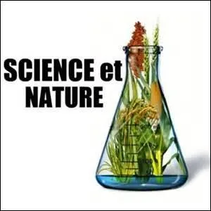 Qu'est-ce qu'une "anémone de mer" ?