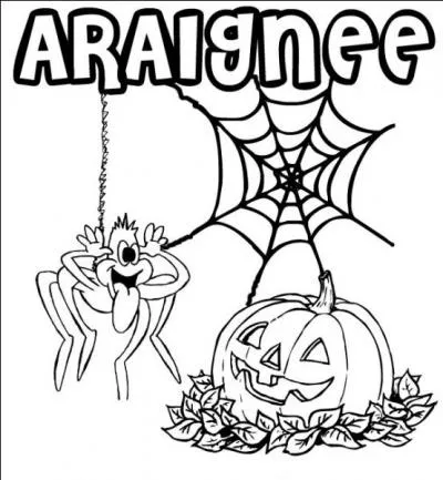 Les araignées ont 6 pattes.