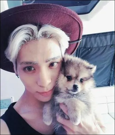 Qui est ce beau mec et de quel groupe fait-il partie ?