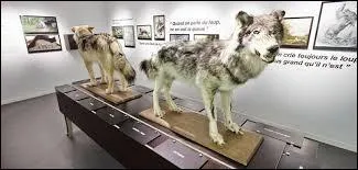 Dans quelle région française trouverez-vous le "Musée du loup" ?