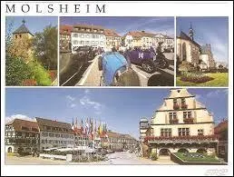 Connue pour être le siège historique de la marque Bugatti, Molsheim est une ville située dans le département ...