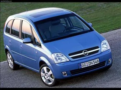 Quelle est cette "mini" familiale ?