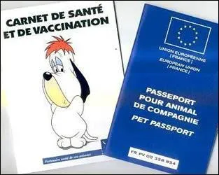 Après avoir récupéré votre chèque, l'éleveur vous donne certains papiers. Mais il n'y a pas de carnet de vaccination !