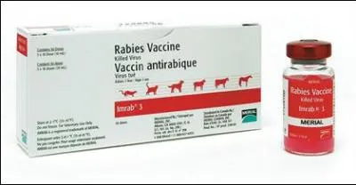 Vous vous apercevez que votre chiot n'est pas vacciné contre la rage :